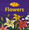 Flowers Allah Made Them All by Saniyasnain Khan