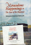 Miraculous Happenings in the Year of the Elephant by Mehded M Sinclair