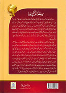 Seerat Encyclopedia Urdu Language Full Colour 11 Volumes  سیرت انساہیکالوپیڈیا